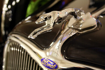 Collectible Hood Ornaments