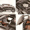 Collectible Minichamps Cars