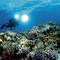 Underwater Digital Photography