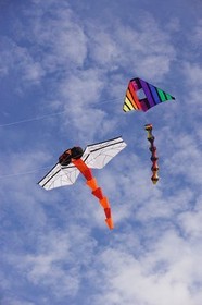 Fighter Kites