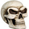 Collectible Skulls and Skeletons