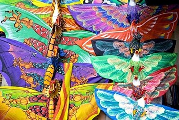 Uttarayan and the Kite Festival of Gujarat