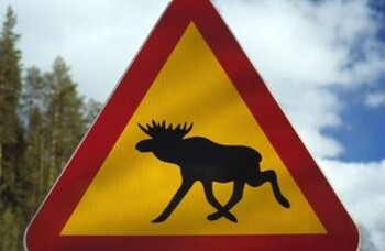 Collectible Road Signs