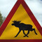 Collectible Road Signs