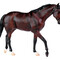 Model Horse - Breyer - Collectibles