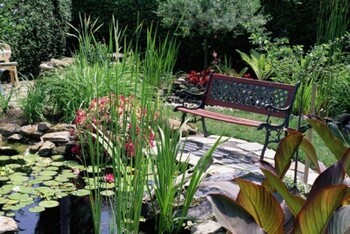 Water Gardening - Aquatic Gardens, Backyard Ponds