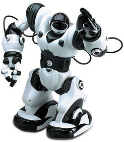 Cool RC Robots