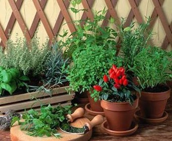Garden Tools, Planters, Raised Garden Beds Extra